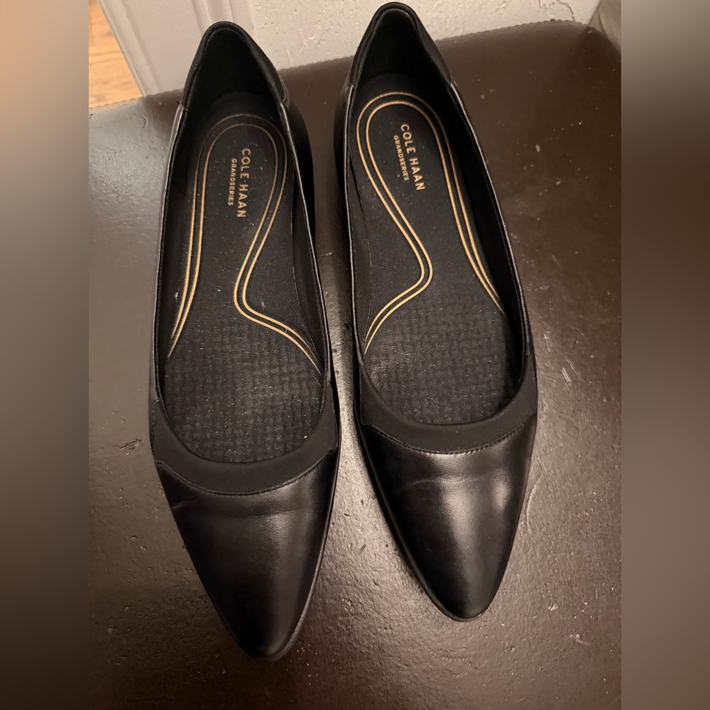 Cole Haan Black Pointed-Toe Leather Ballet Flats